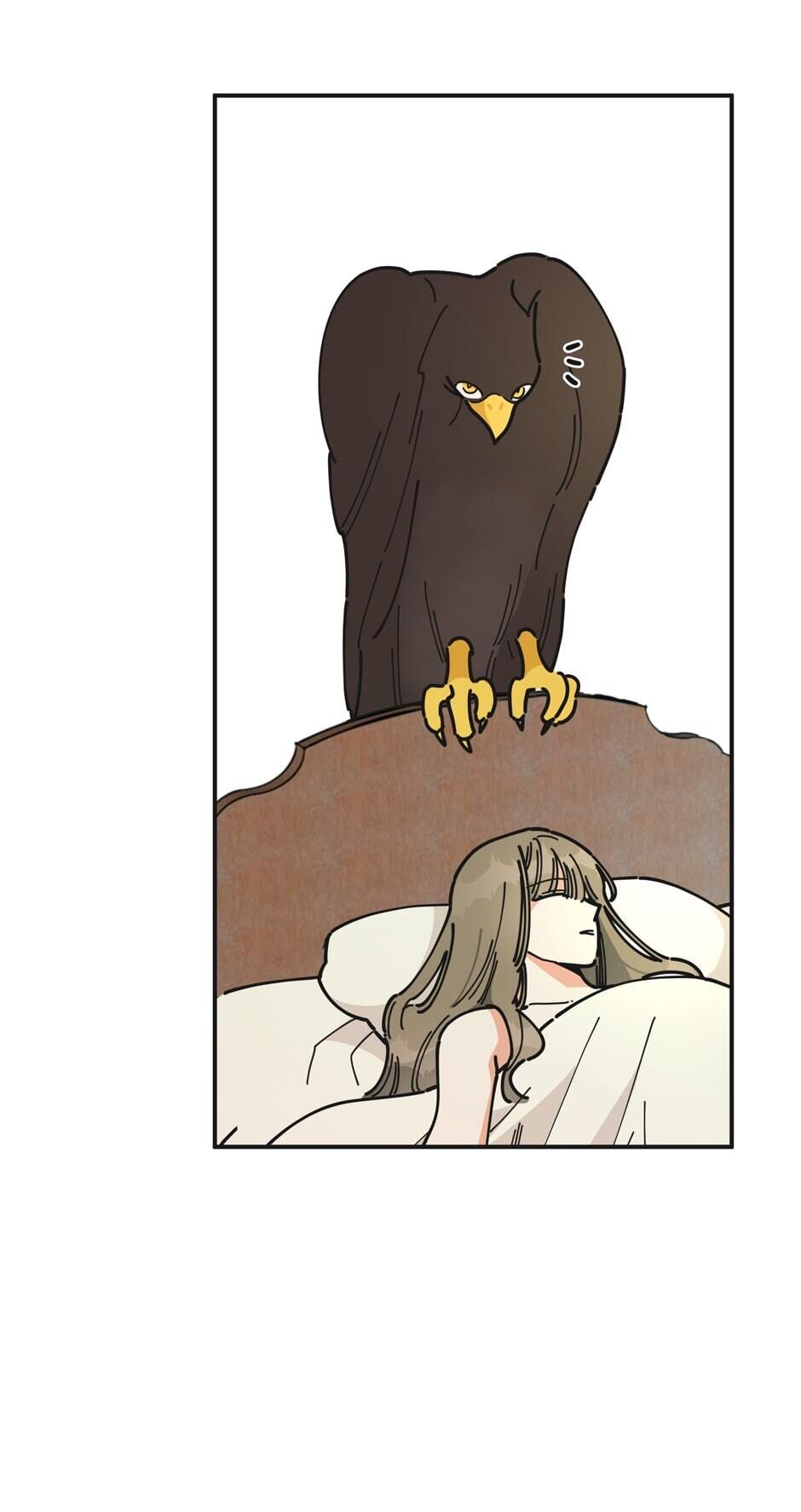 Read The Evil Lady