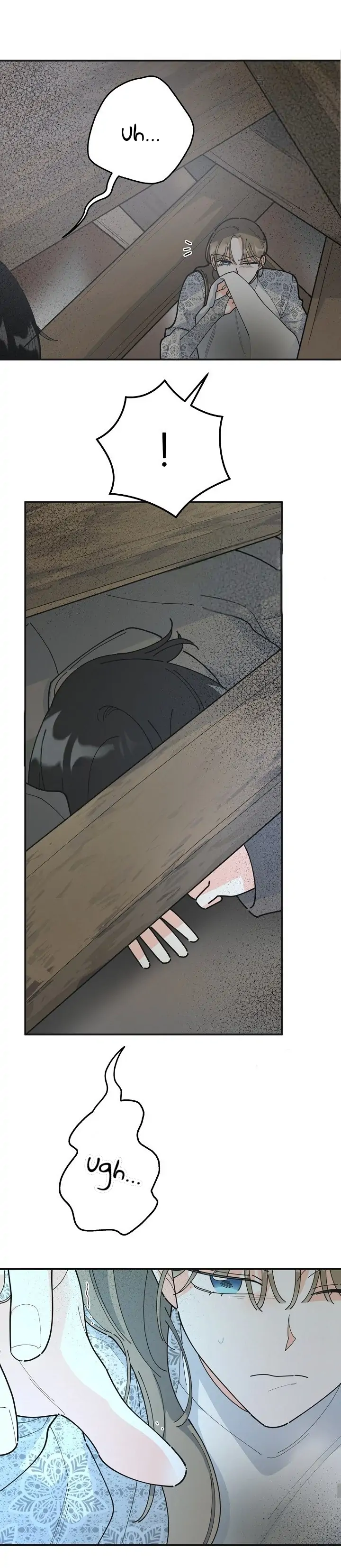 Read The Evil Lady