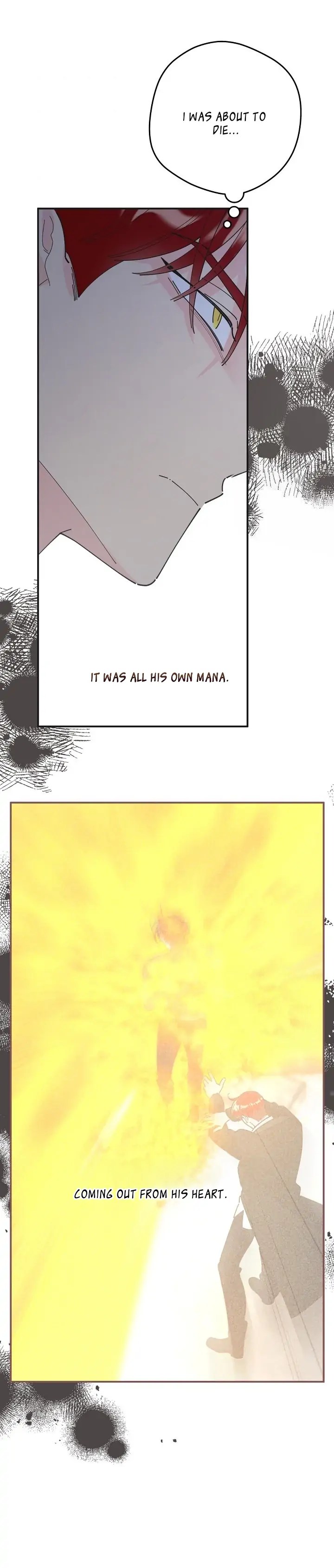 Read The Evil Lady