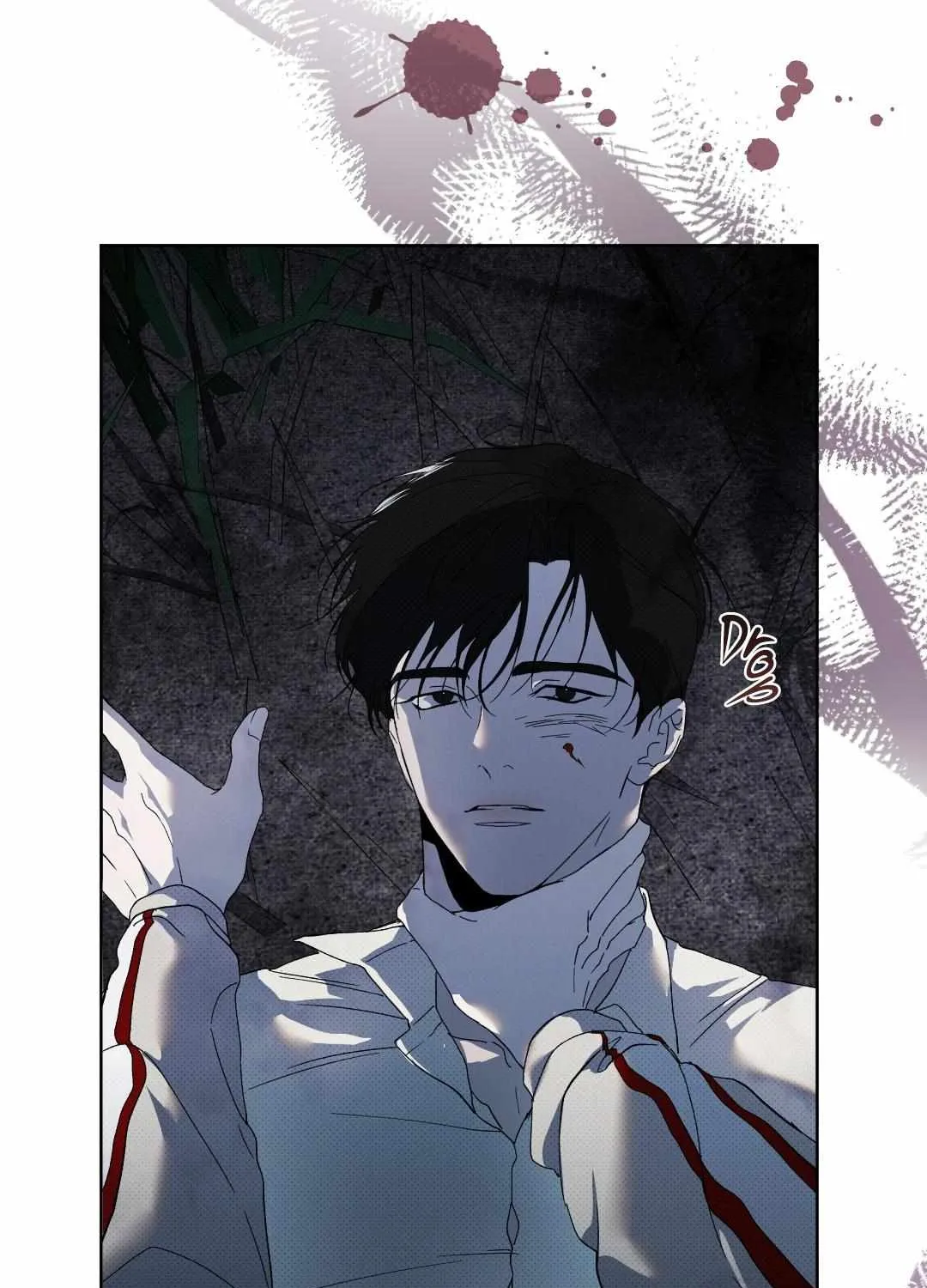 The Evolution of Species Chapter 13 page 89 - 