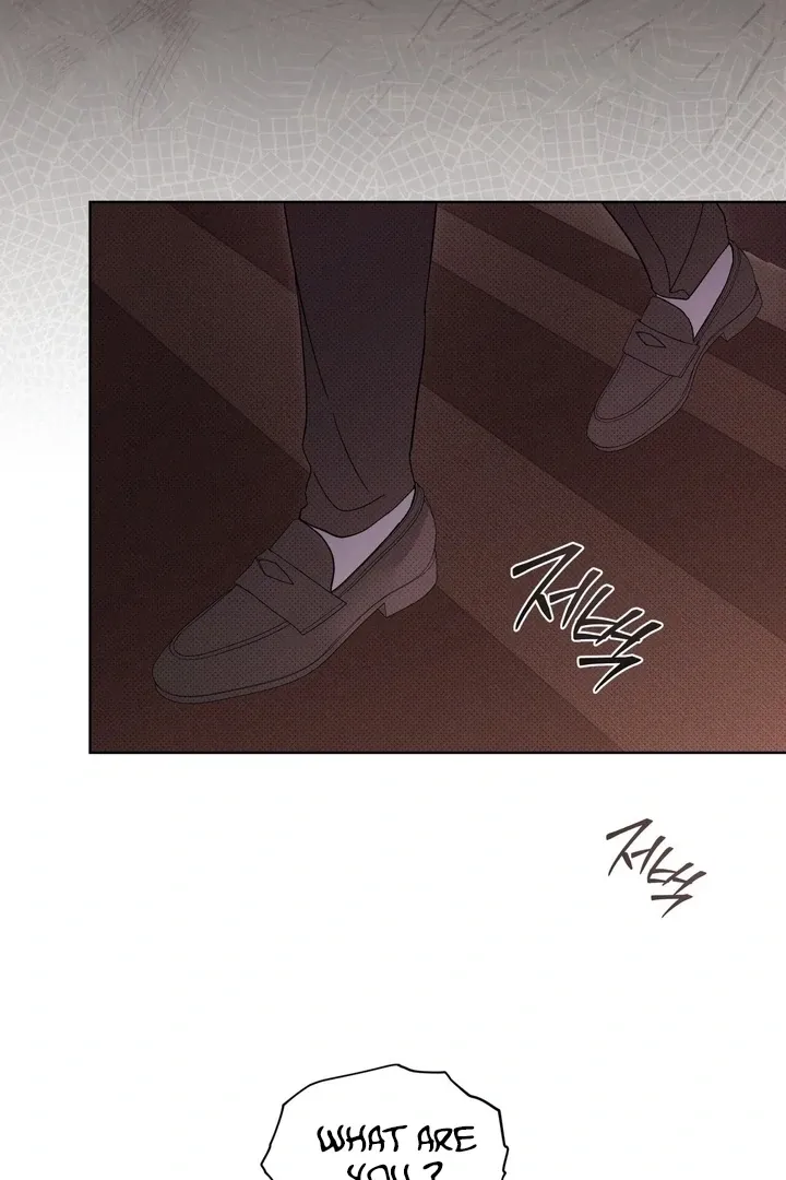 The Evolution of Species Chapter 17 page 54 - 