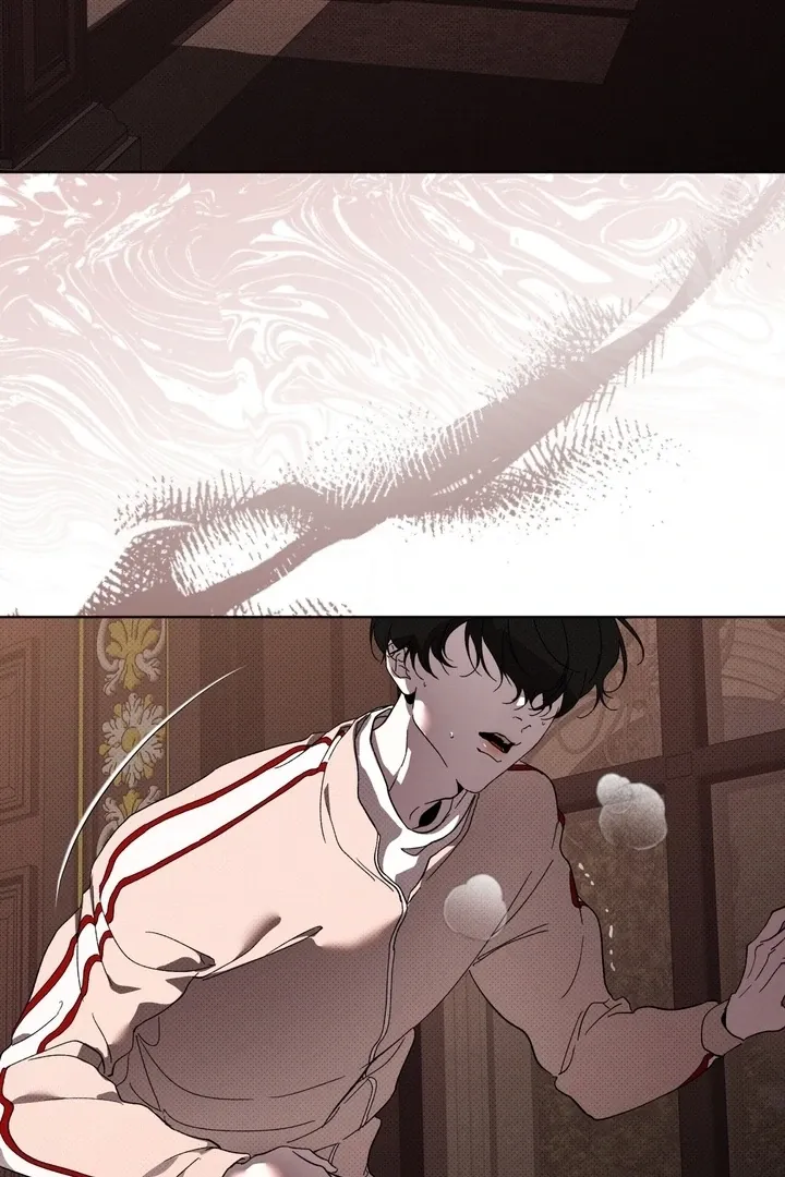 The Evolution of Species Chapter 17 page 86 - 