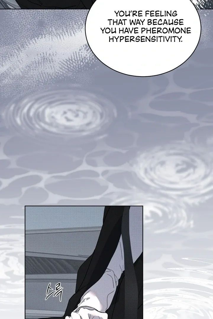 The Evolution of Species Chapter 18 page 47 - 