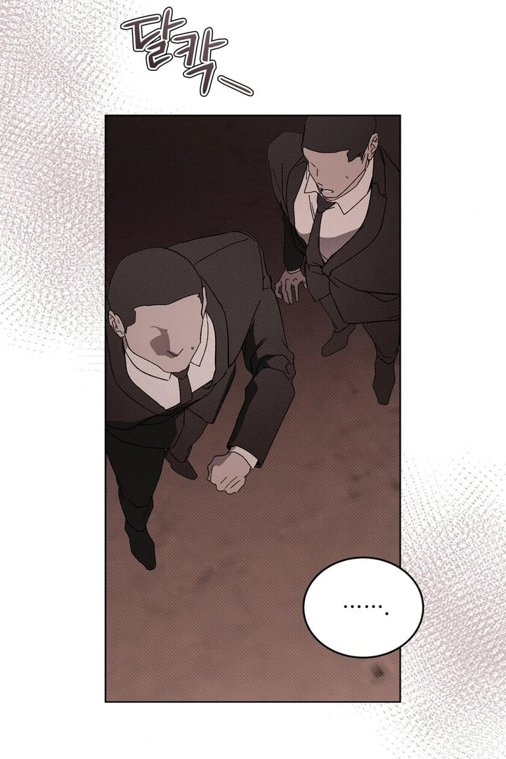 The Evolution of Species Chapter 25 page 37 - 