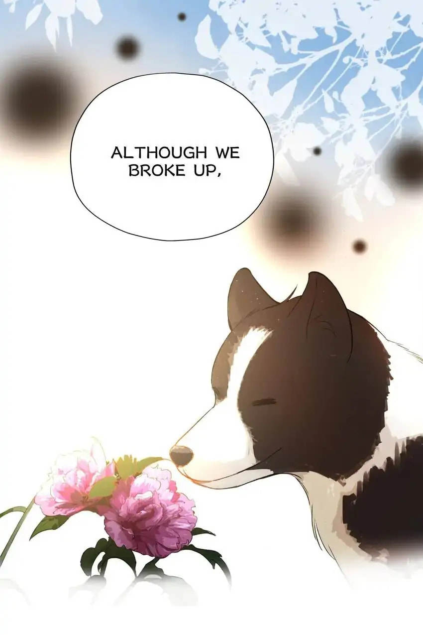 Read The Ex (Colored) chapter 79 image 40 on Lezhin