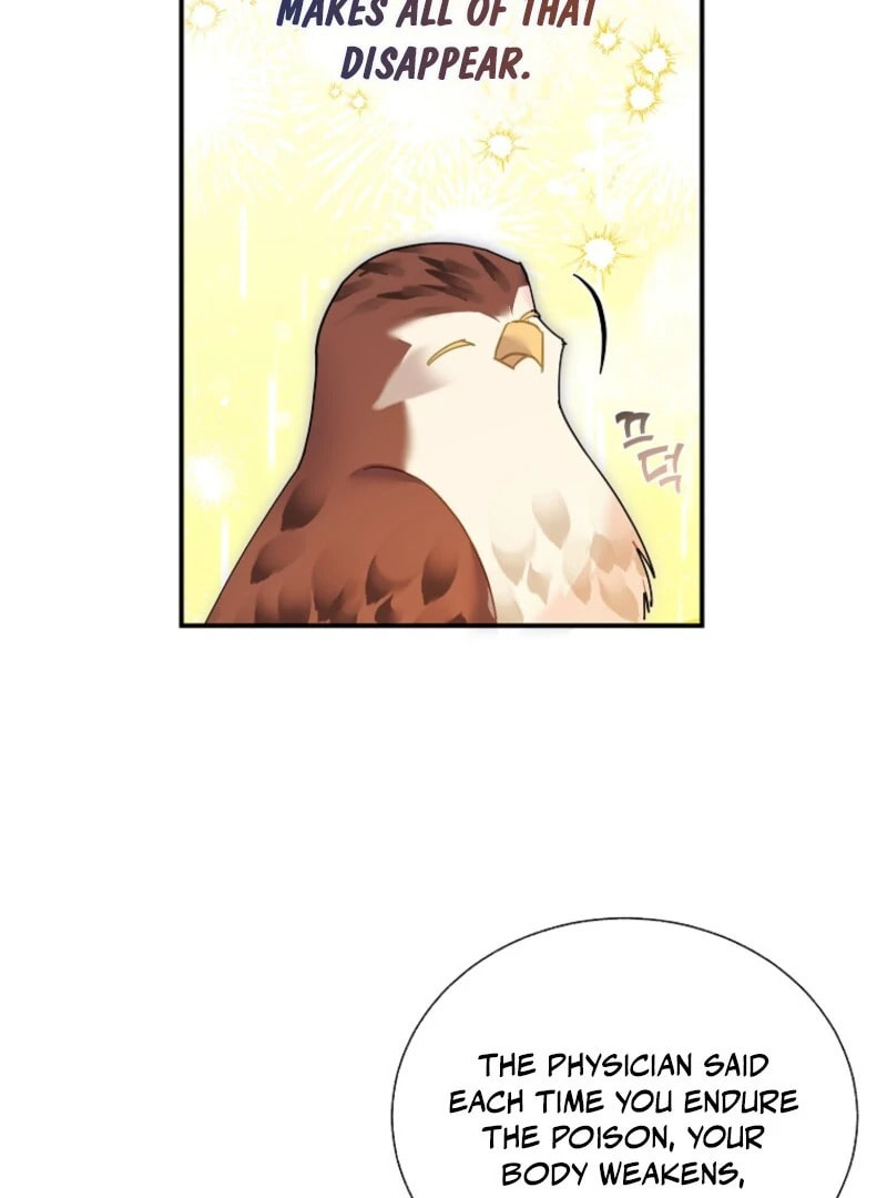 Read The Falcon Princess chapter 145 image 65 on Lezhin