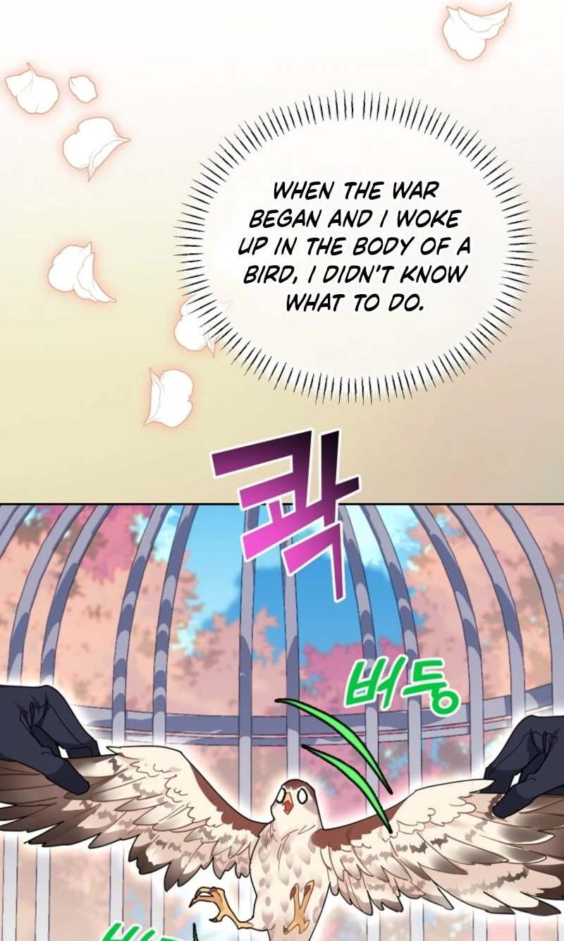 Read The Falcon Princess chapter 159 image 73 on Lezhin
