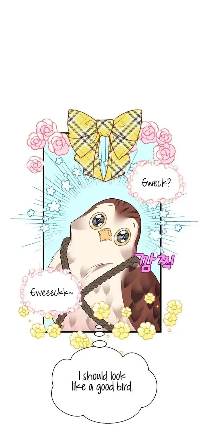 Read The Falcon Princess chapter 4.1 image 45 on Lezhin