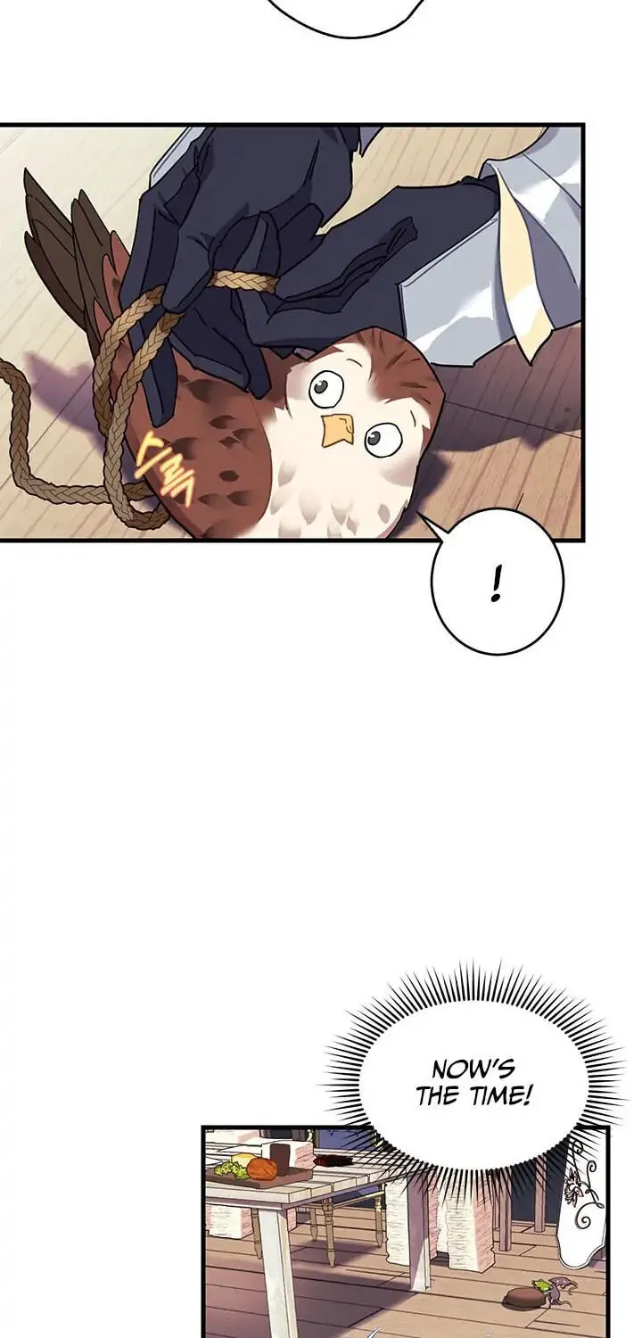 Read The Falcon Princess chapter 4.1 image 66 on Lezhin