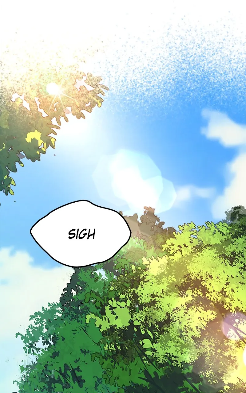The Fallen Sage Rises to Power Chapter 3 page 14 - 