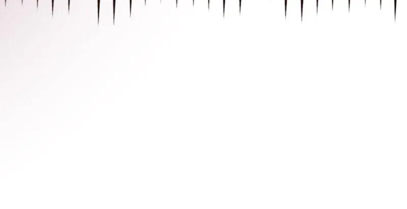 The False Saintess Overturns Her Fate Chapter 19 page 24 - 
