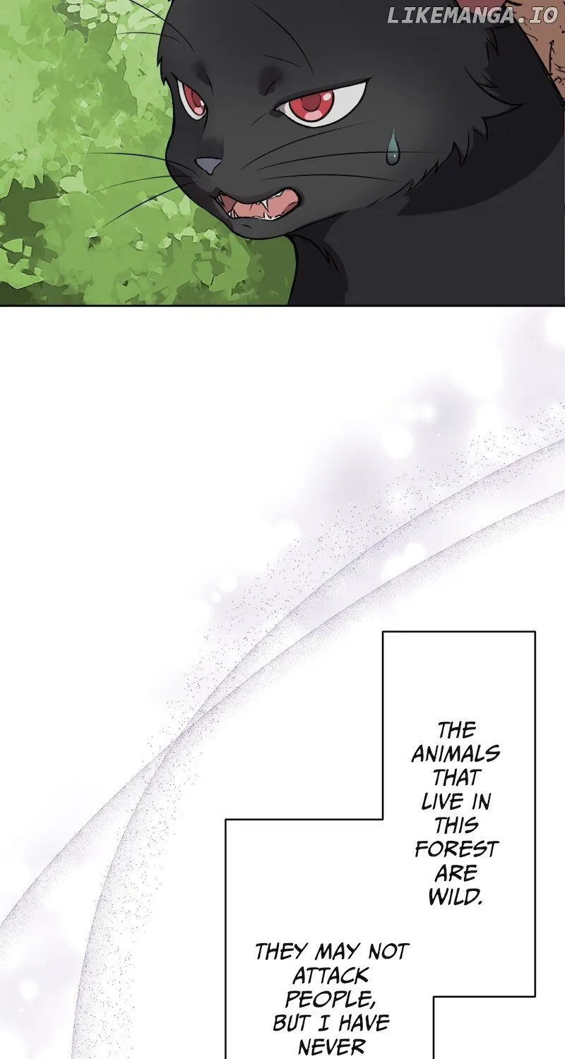 The False Saintess Overturns Her Fate Chapter 5 page 29 - 