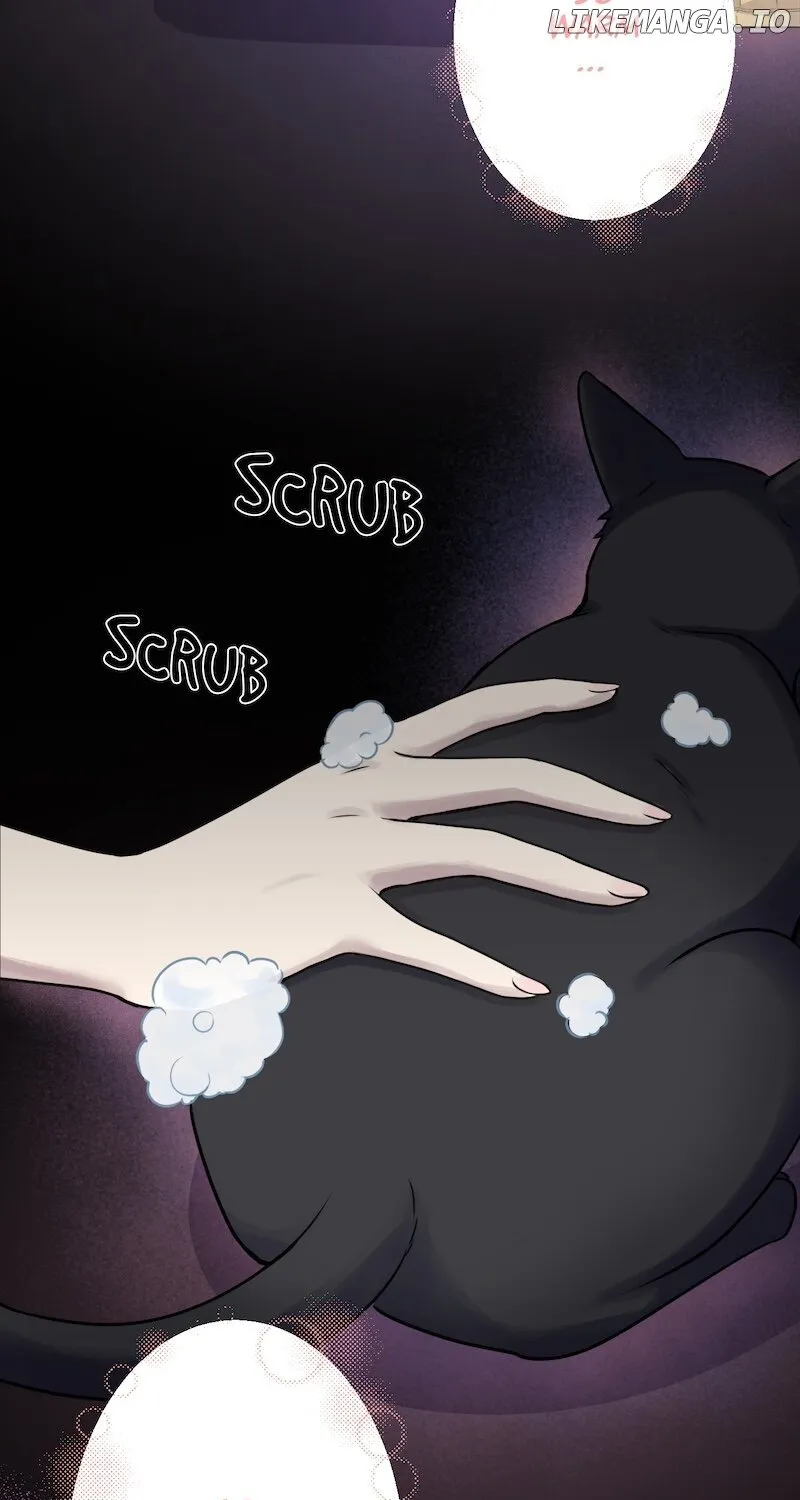 The False Saintess Overturns Her Fate Chapter 5 page 73 - 