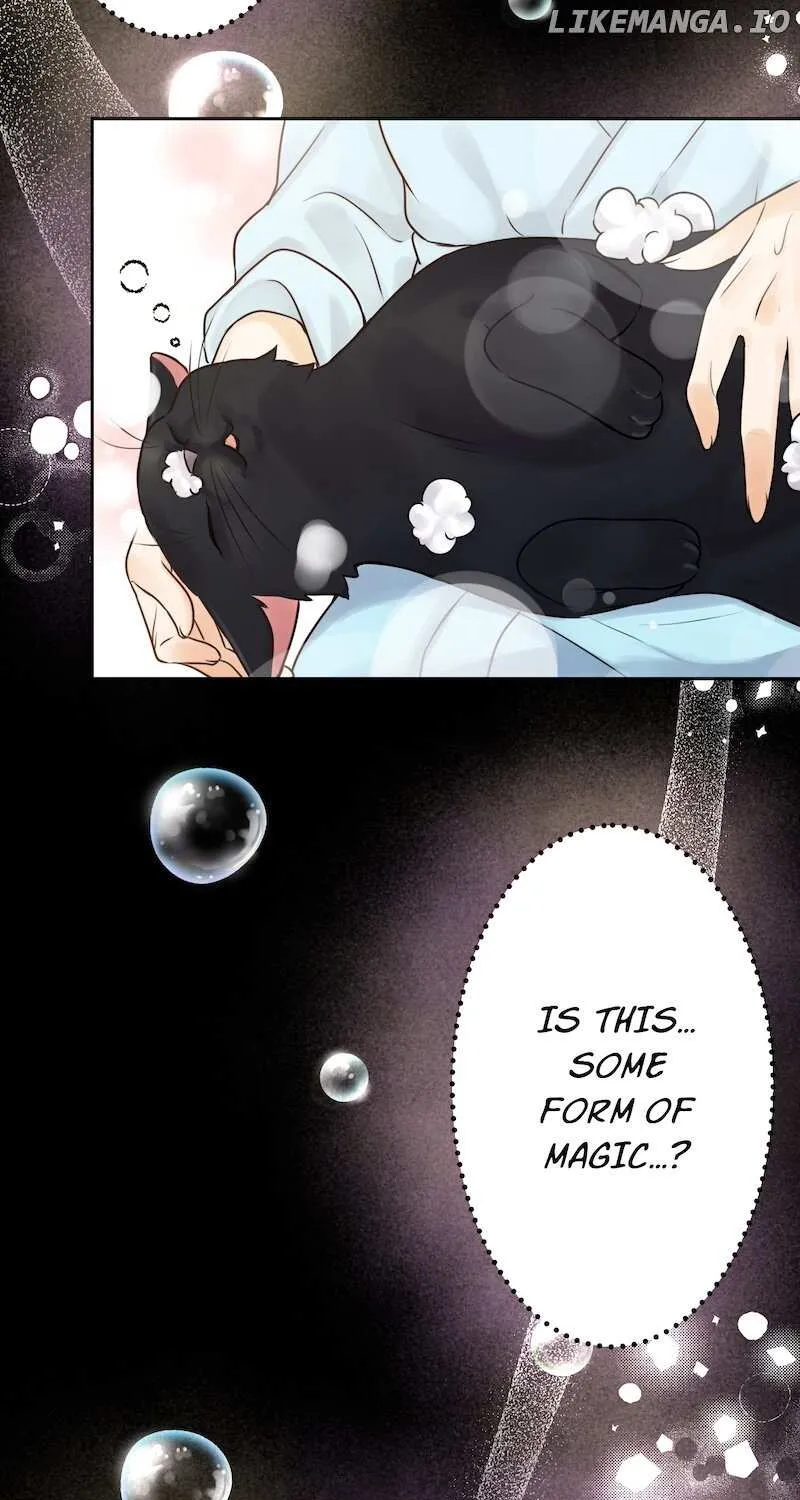 The False Saintess Overturns Her Fate Chapter 5 page 91 - 