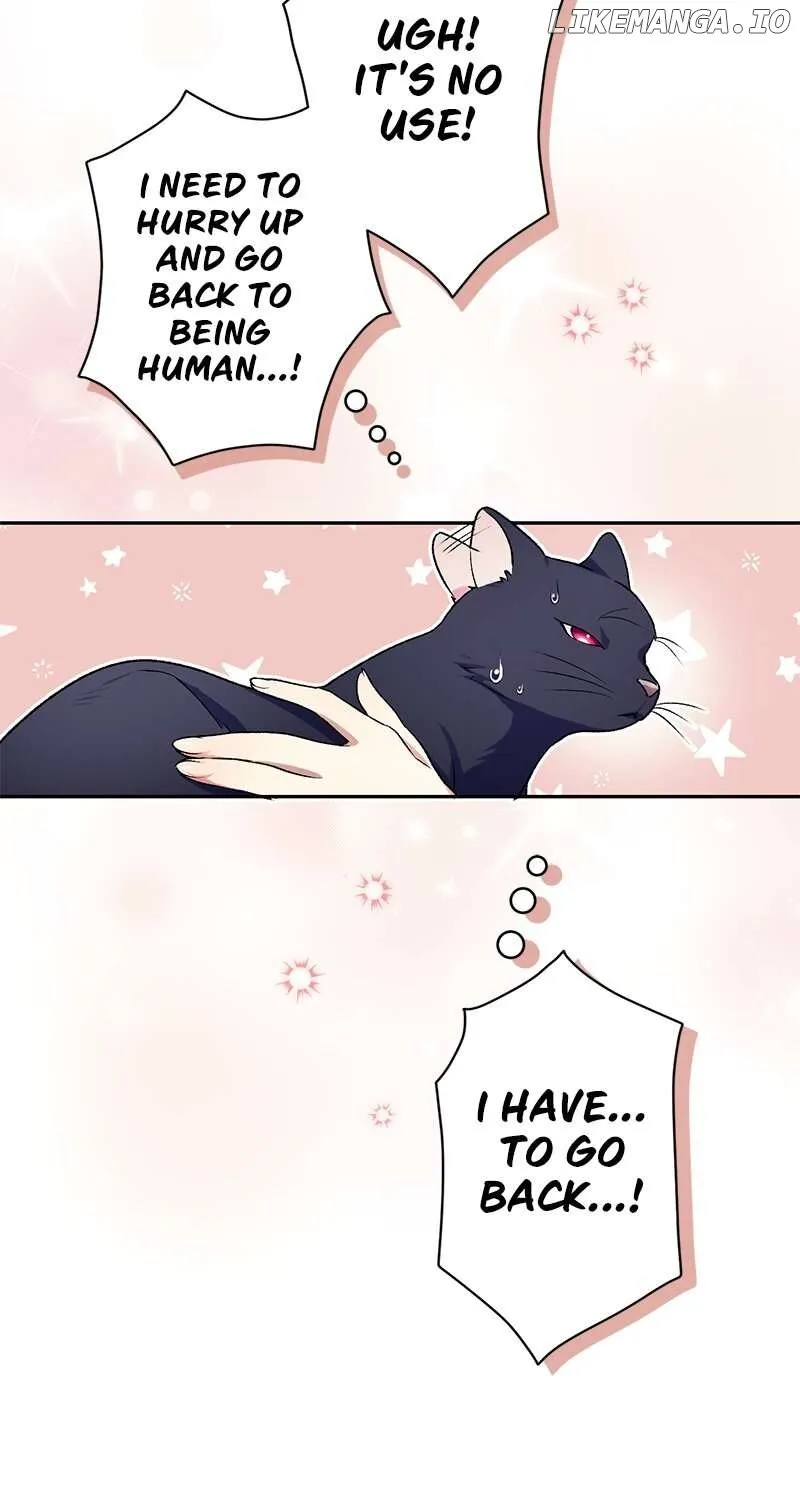 The False Saintess Overturns Her Fate Chapter 56 page 24 - 