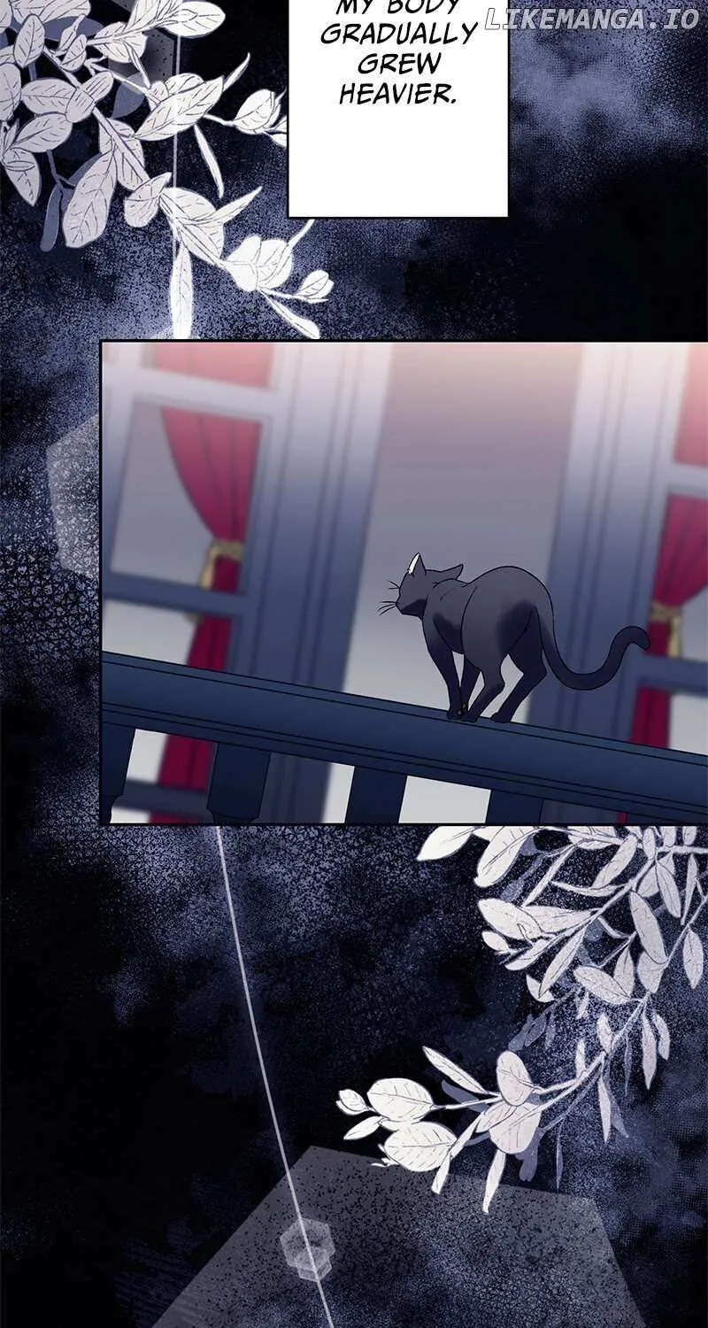 The False Saintess Overturns Her Fate Chapter 56 page 79 - 