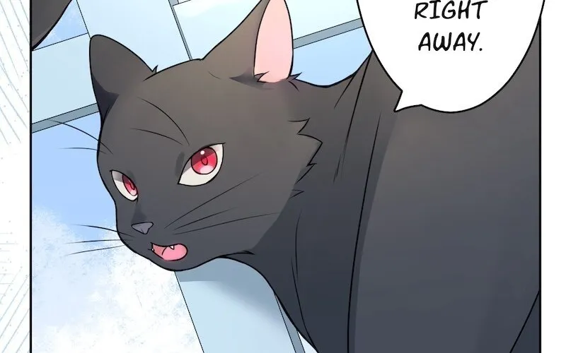 The False Saintess Overturns Her Fate Chapter 6 page 75 - 