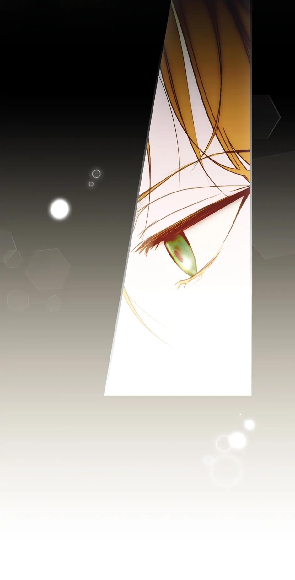 The Fantasie of a Stepmother Chapter 128 page 46 - 