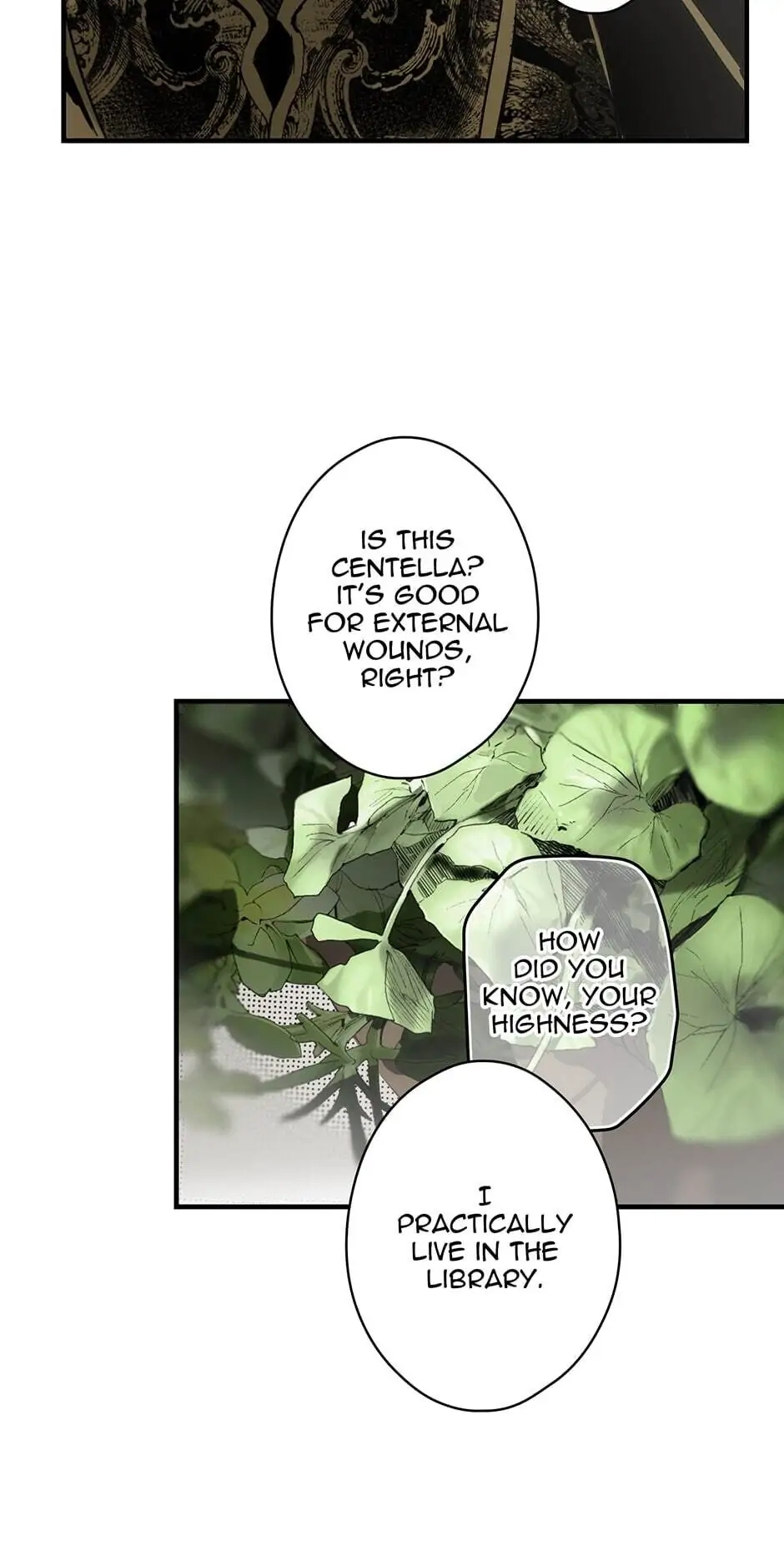 The Fantasie of a Stepmother Chapter 73 page 37 - 
