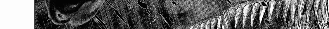 Read The Faraway Paladin chapter 62 image 9 on Lezhin