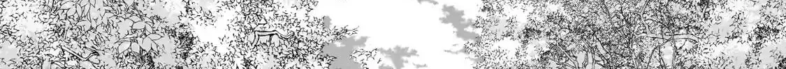 Read The Faraway Paladin chapter 65.2 image 11 on Lezhin