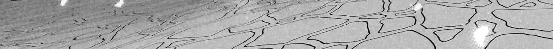 Read The Faraway Paladin chapter 66.1 image 31 on Lezhin