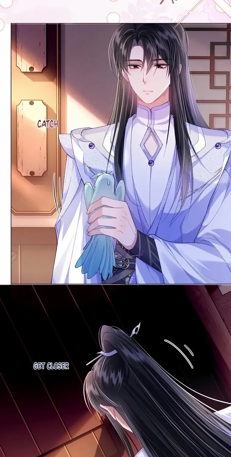 The Female Supporting Character Doesn't Want the Protagonist to Break Up Chapter 8 page 5 - 