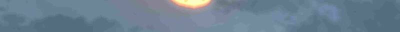 The First Ancestor in History Chapter 285 page 14 - 