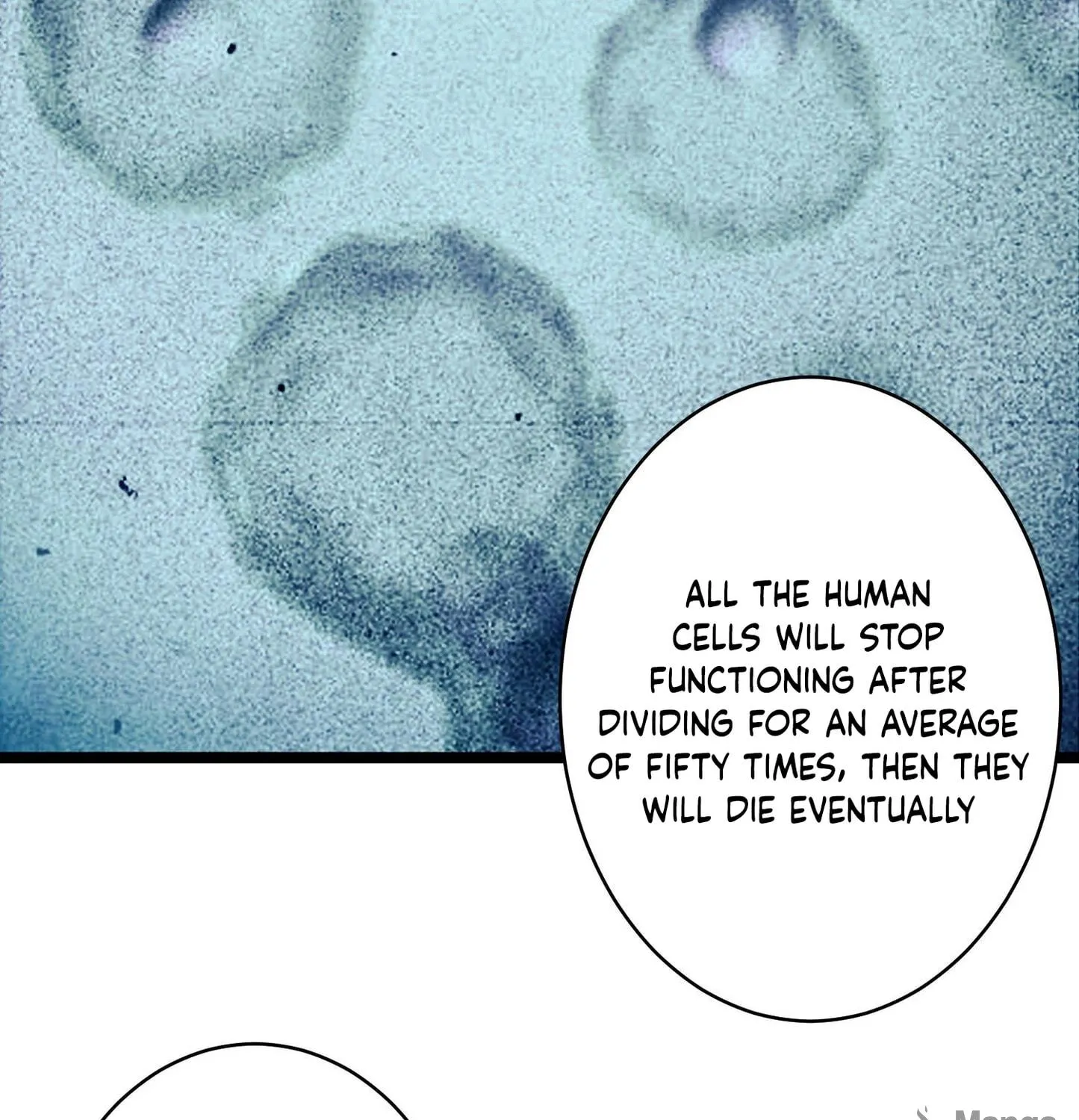 Read The First Sequence chapter 39 image 106 on Lezhin