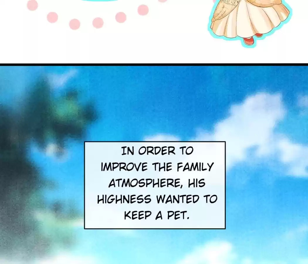 Read The Flirtatious Princess Consort chapter 141 image 71 on Lezhin
