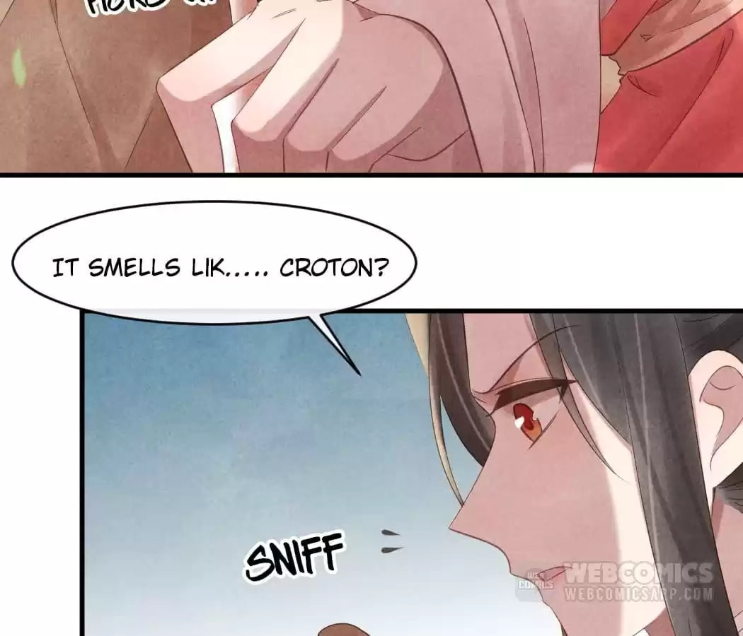 Read The Flirtatious Princess Consort chapter 52 image 49 on Lezhin