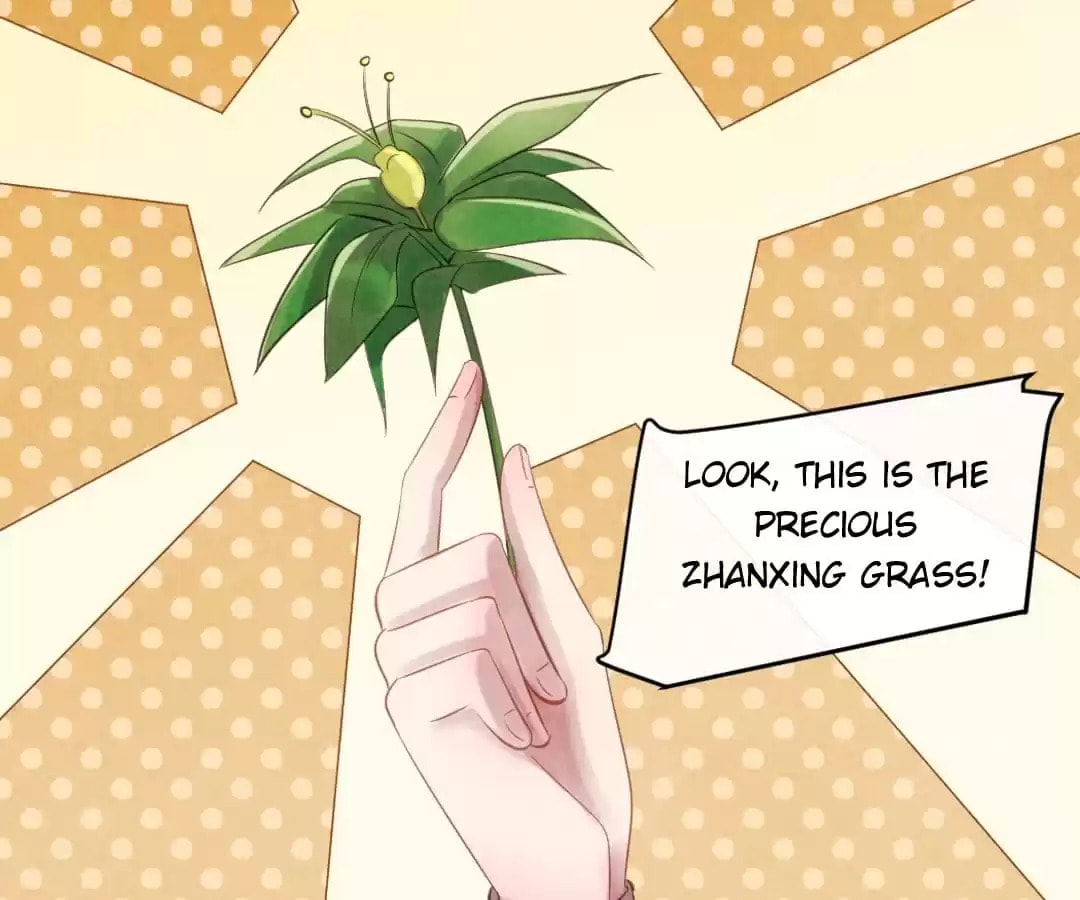 Read The Flirtatious Princess Consort chapter 67 image 48 on Lezhin