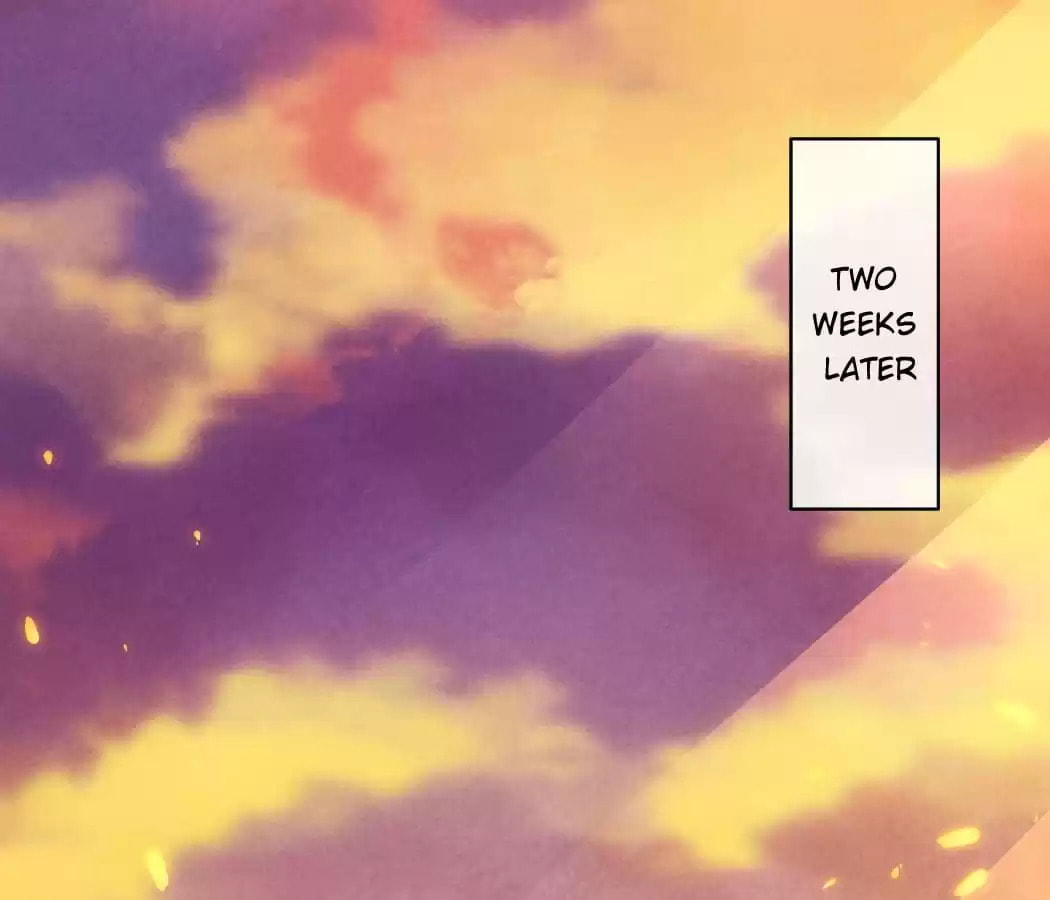 Read The Flirtatious Princess Consort chapter 92 image 0 on Lezhin
