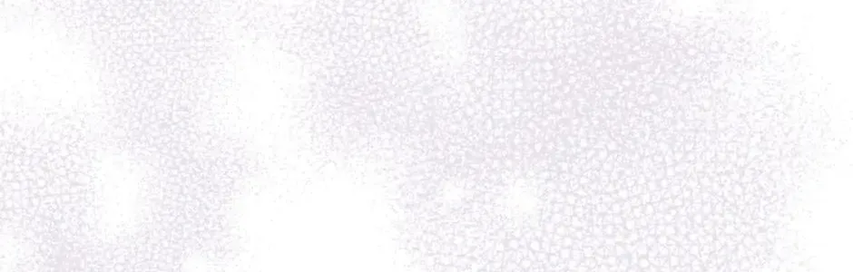The Flower Dances and the Wind Sings Chapter 111 page 92 - 