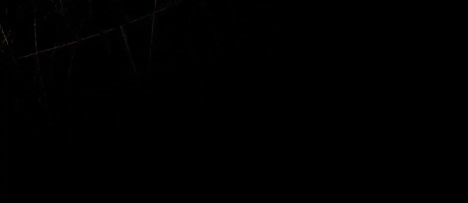 The Flower Dances and the Wind Sings Chapter 91 page 46 - 