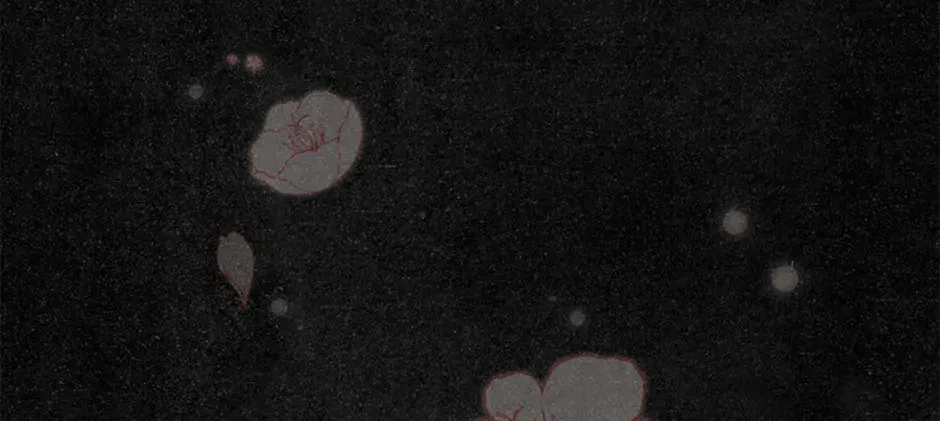 The Flower Dances and the Wind Sings Chapter 97 page 56 - 