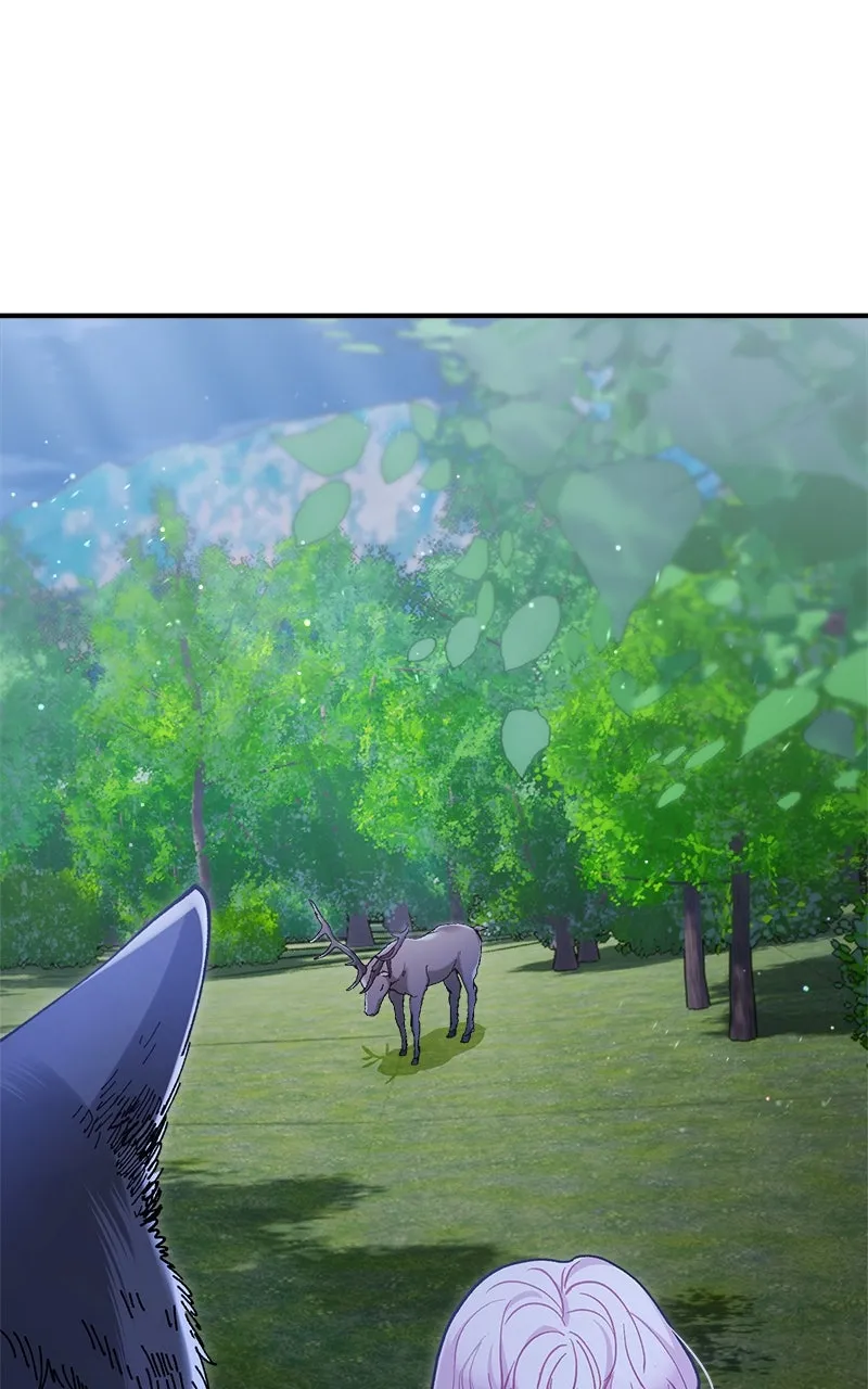 The Flower That Swallowed the Beast Chapter 40 page 72 - 