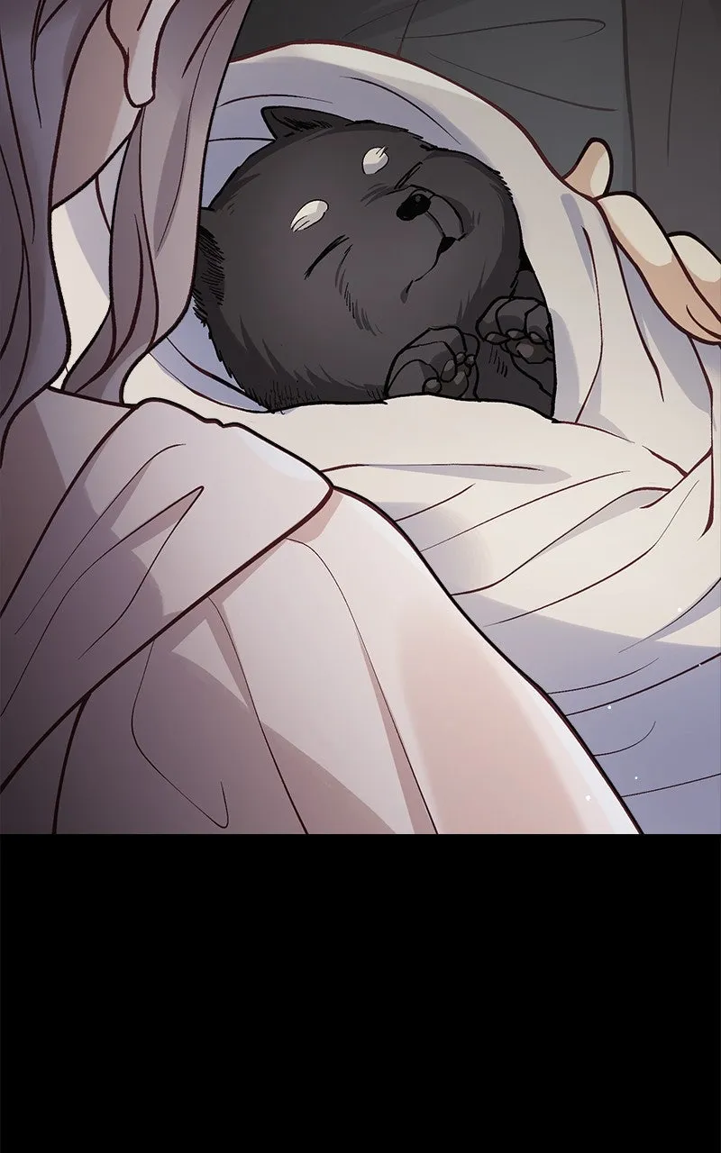 The Flower That Swallowed the Beast Chapter 52 page 61 - 