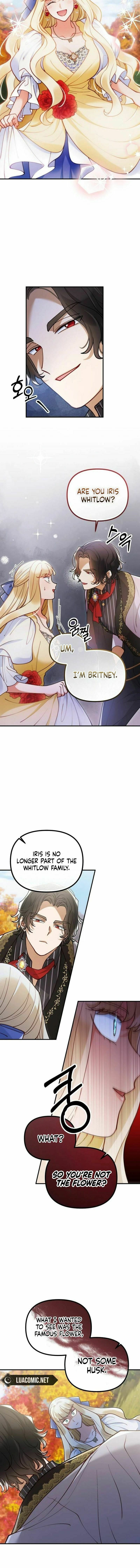 The Flower That Swallowed the Beast Chapter 68 page 13 - 