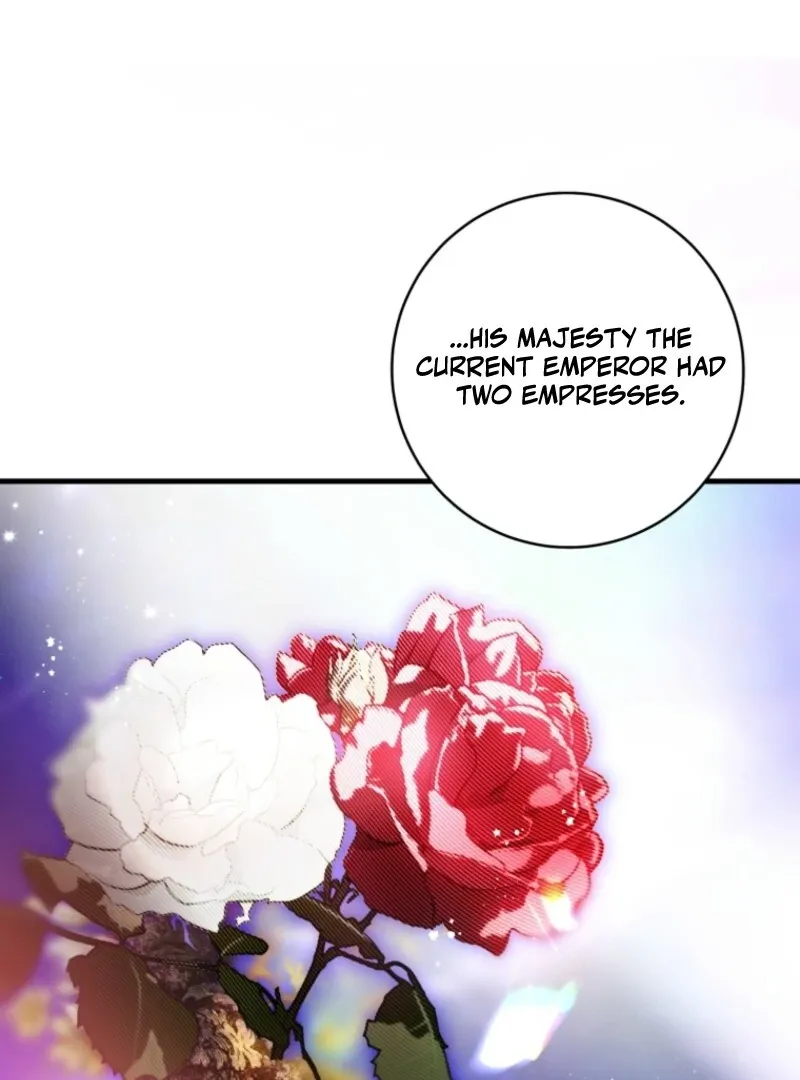 Read The Flower With a Sword chapter 31 image 96 on Lezhin
