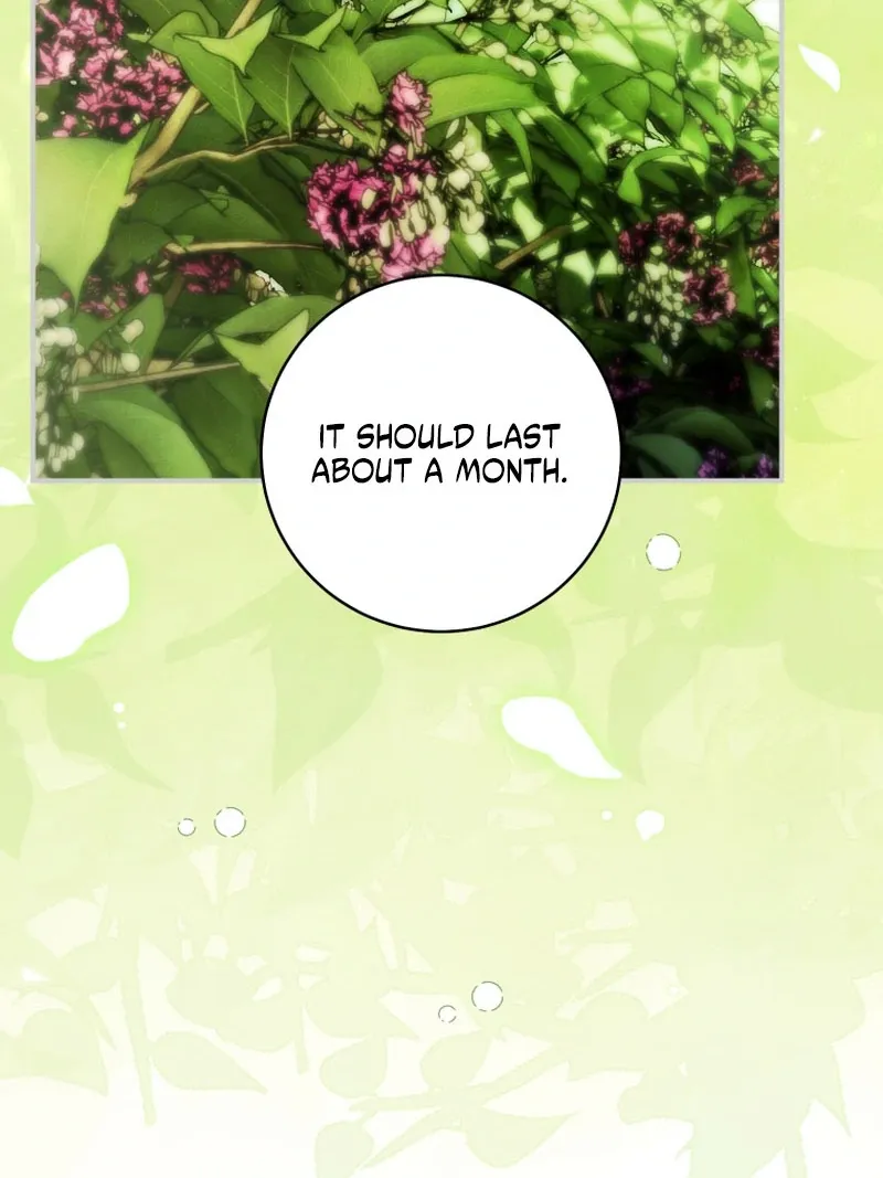 Read The Flower With a Sword chapter 39 image 27 on Lezhin