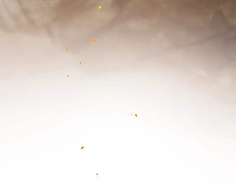 Read The Flower With a Sword chapter 44 image 28 on Lezhin