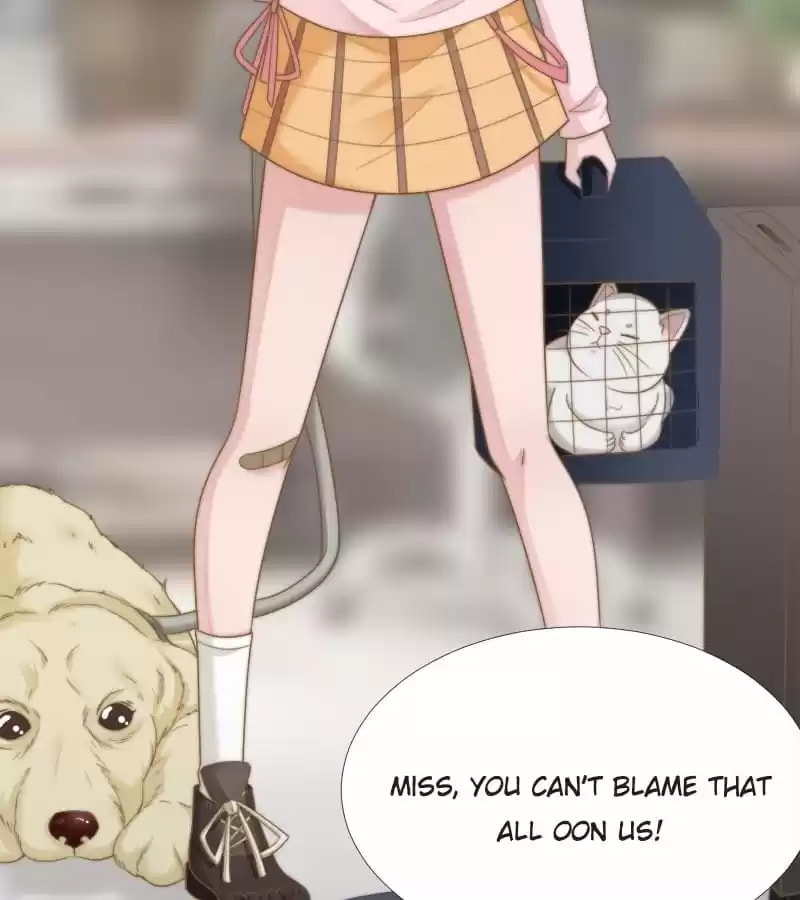 Read The Flying Planet (Colored) chapter 39 image 19 on Lezhin