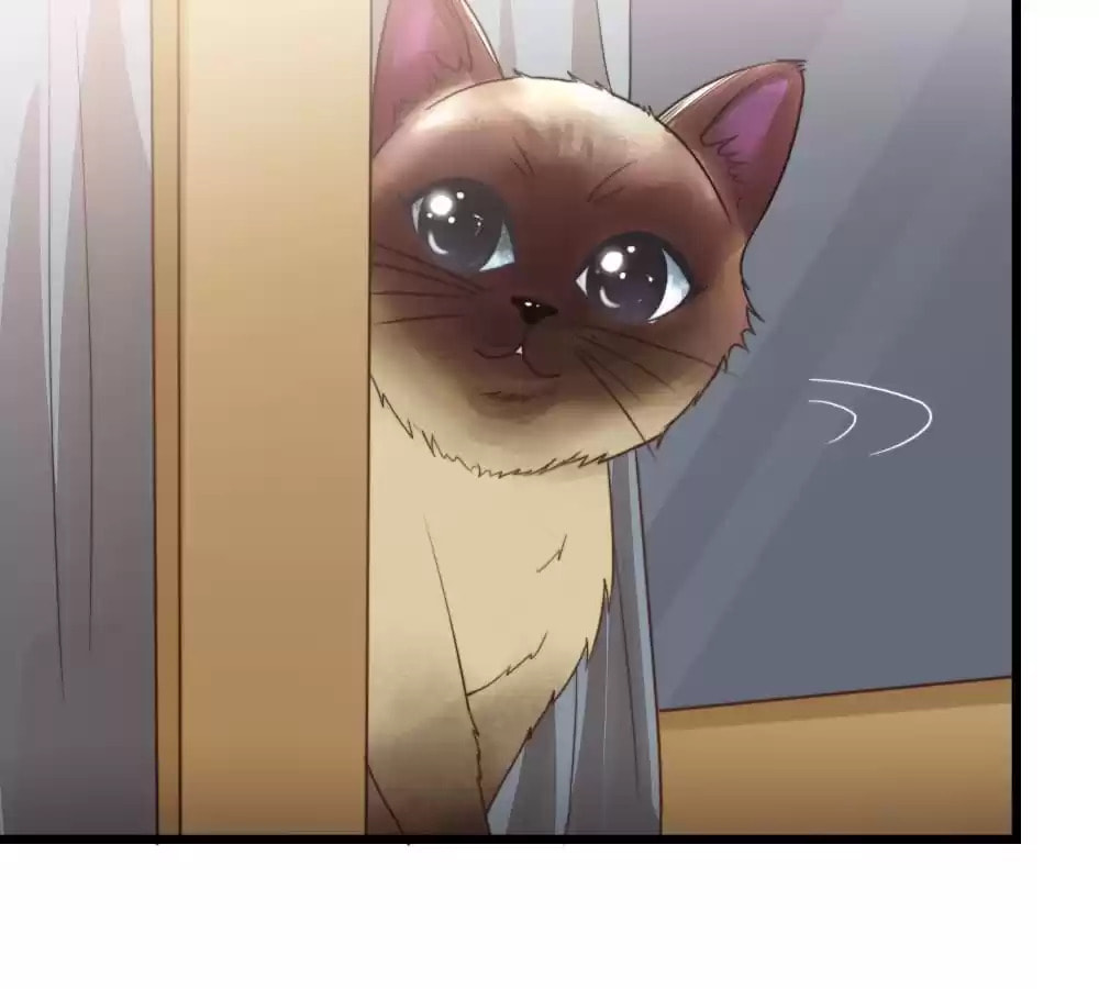 Read The Flying Planet (Colored) chapter 44 image 64 on Lezhin