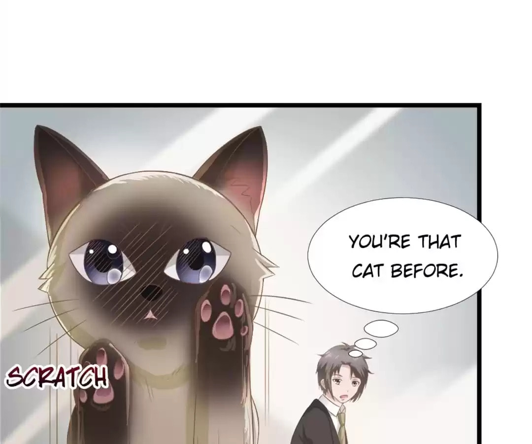 Read The Flying Planet (Colored) chapter 45 image 2 on Lezhin