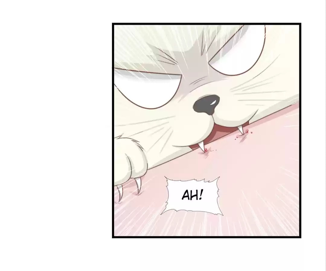 Read The Flying Planet (Colored) chapter 50 image 12 on Lezhin