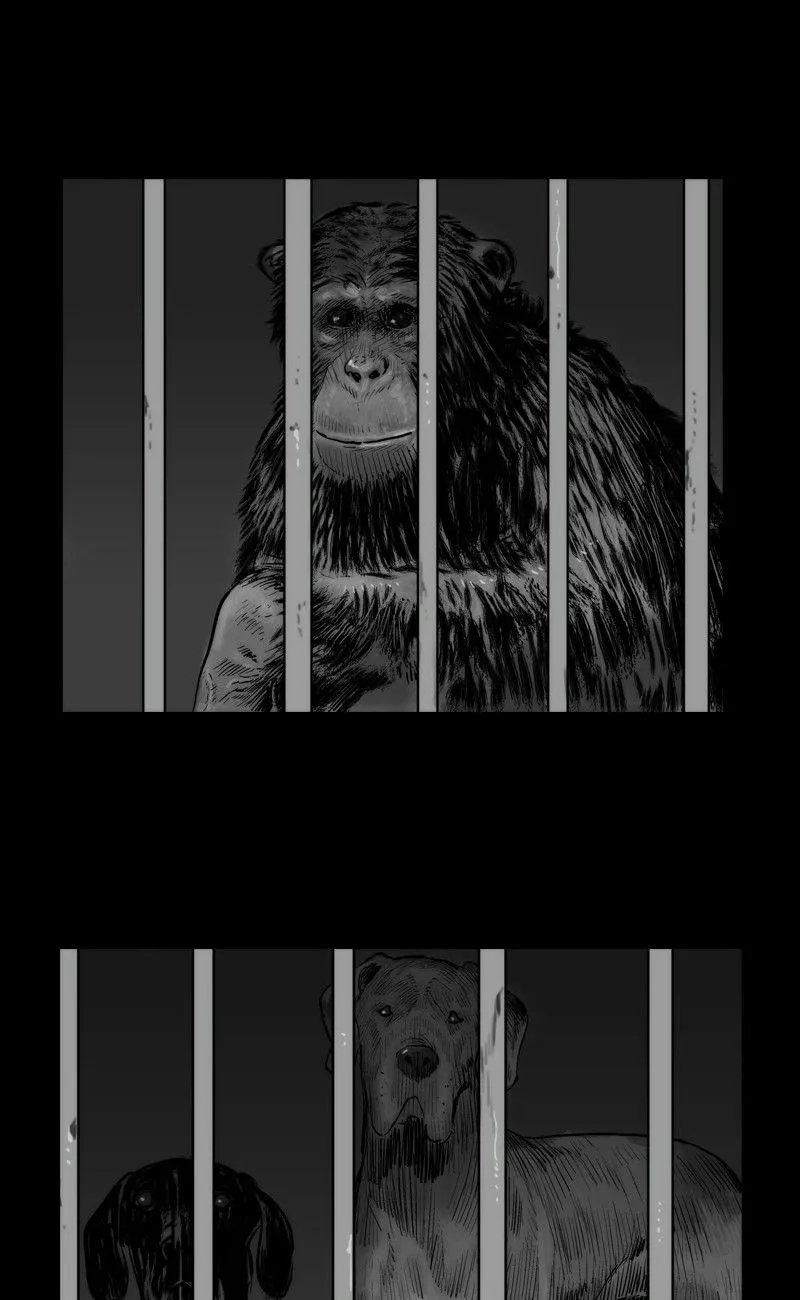 Read The Fog chapter 2 image 33 on Lezhin