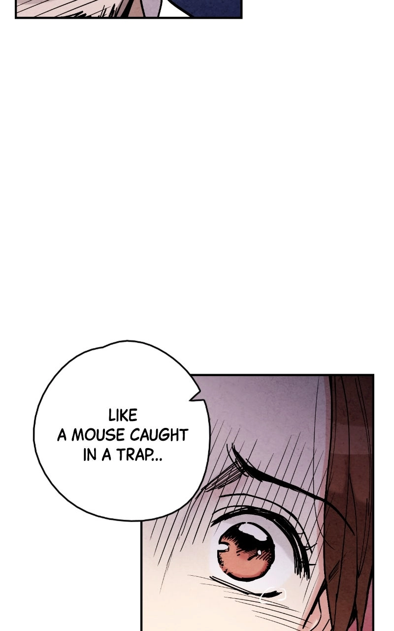 The Forbidden Marriage Chapter 86 page 33 - 