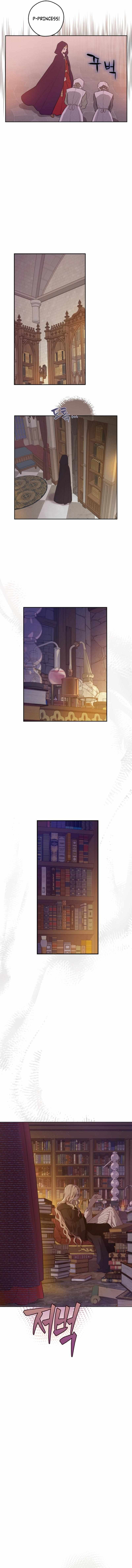 Read The Forgotten Field chapter 12 image 16 on Lezhin