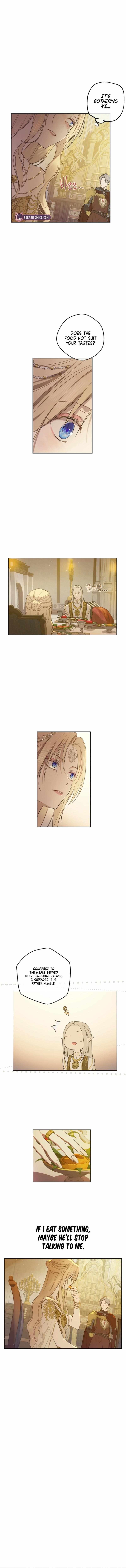 Read The Forgotten Field chapter 17 image 13 on Lezhin